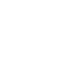 Endysi